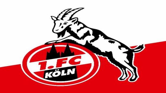 تشكيلة نادي كولن الألماني 2017 FC Koln